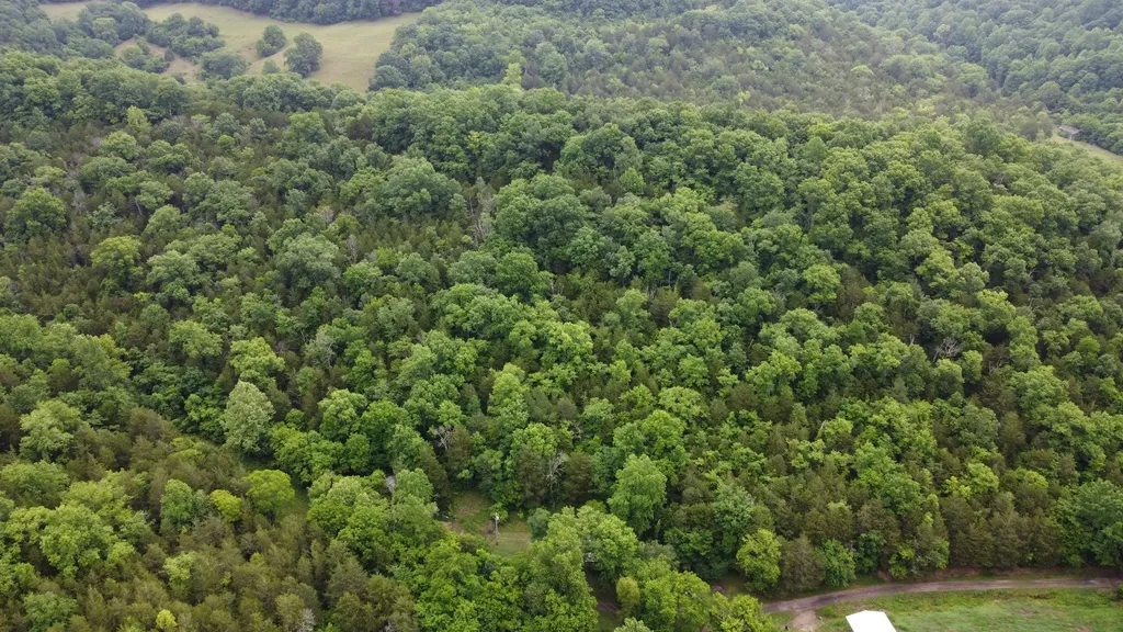32 Patterson Lane Pleasant Shade TN 37145