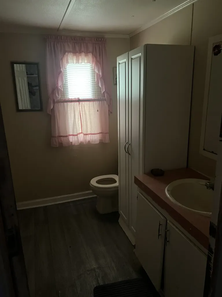 32 Patterson Lane Pleasant Shade TN 37145
