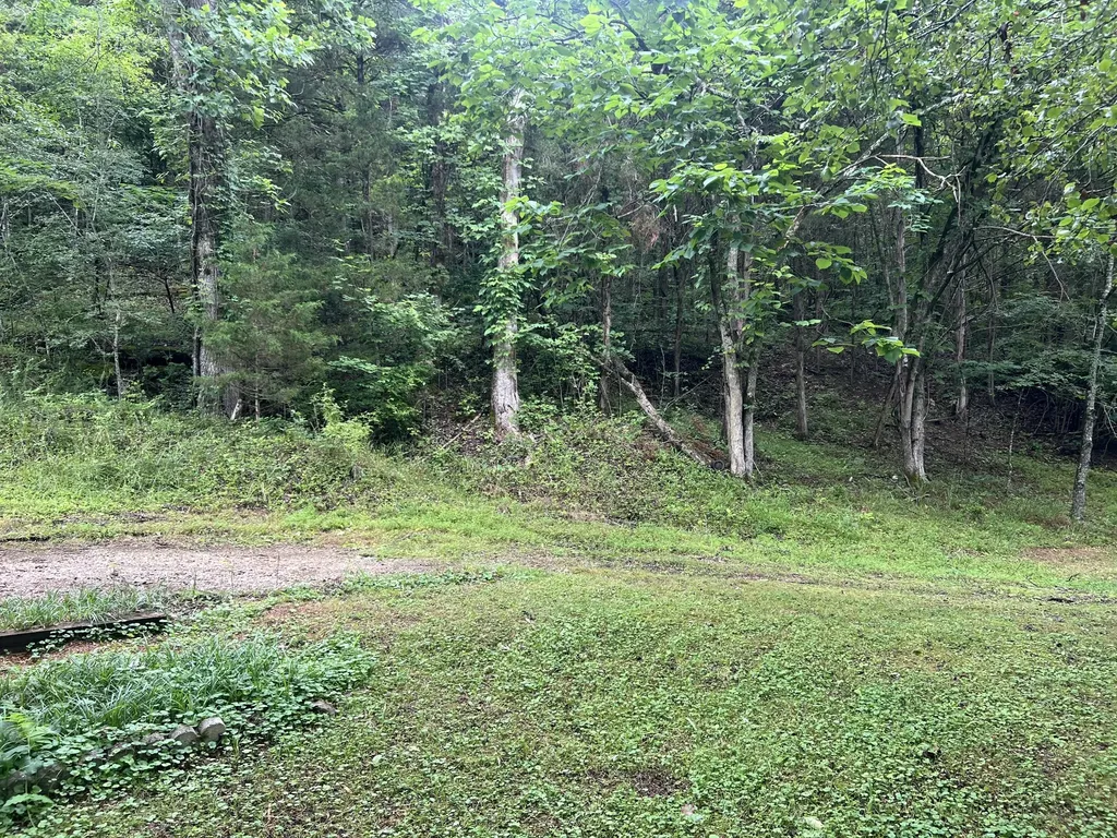 32 Patterson Lane Pleasant Shade TN 37145