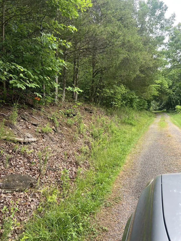 32 Patterson Lane Pleasant Shade TN 37145