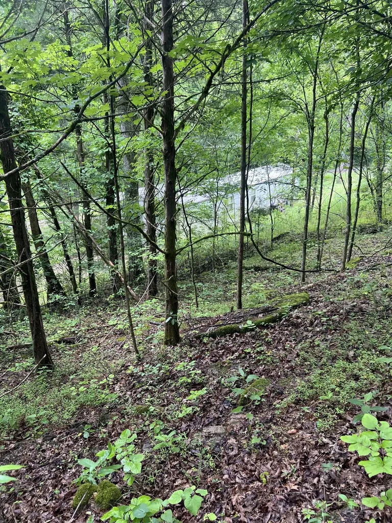 32 Patterson Lane Pleasant Shade TN 37145