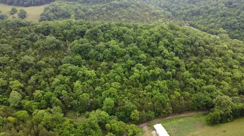 32 Patterson Lane Pleasant Shade TN 37145