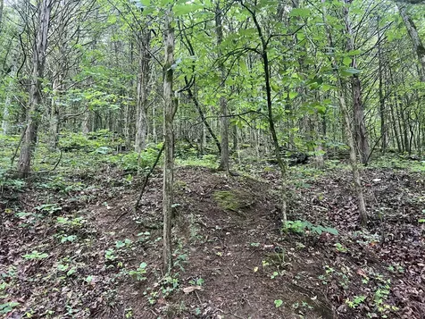 32 Patterson Lane Pleasant Shade TN 37145