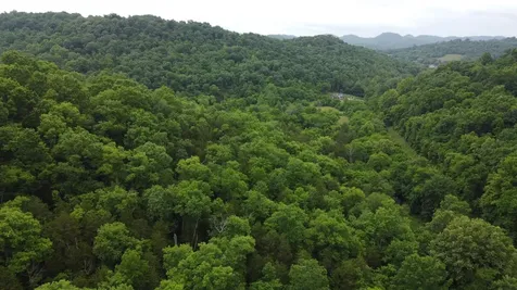 32 Patterson Lane Pleasant Shade TN 37145