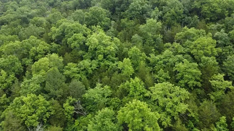 32 Patterson Lane Pleasant Shade TN 37145