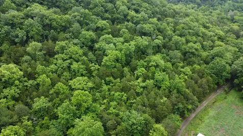 32 Patterson Lane Pleasant Shade TN 37145