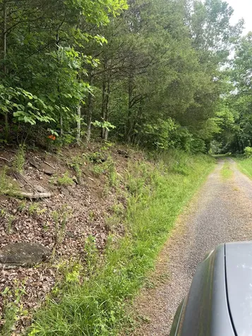 32 Patterson Lane Pleasant Shade TN 37145