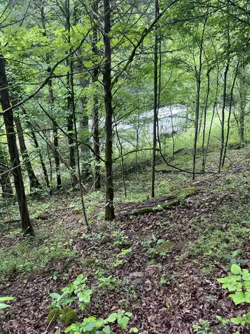 32 Patterson Lane Pleasant Shade TN 37145