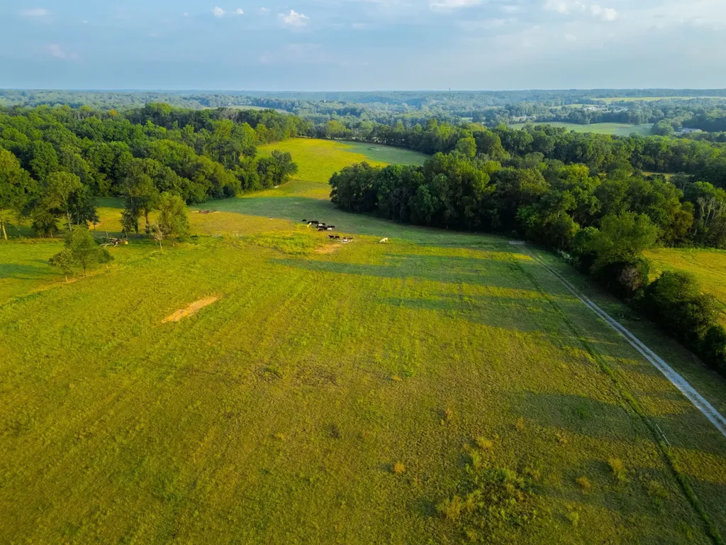 1074 Pair Six Drive Springfield TN 37172