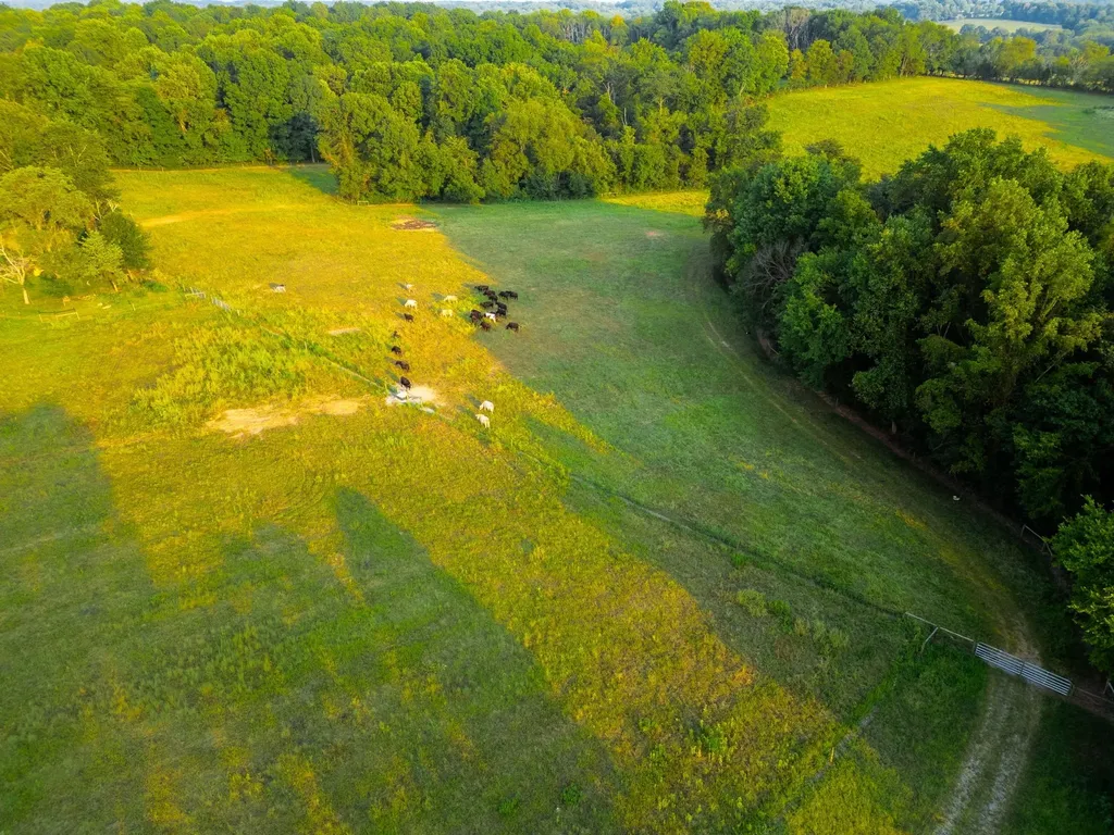 1074 Pair Six Drive Springfield TN 37172