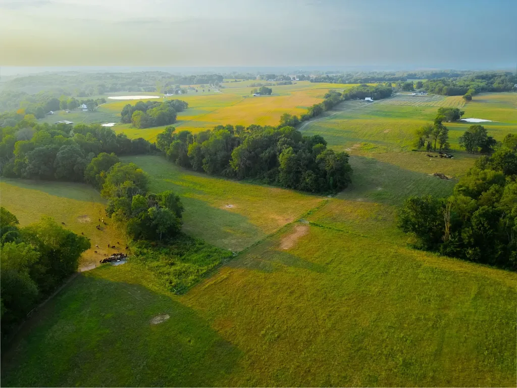 1074 Pair Six Drive Springfield TN 37172