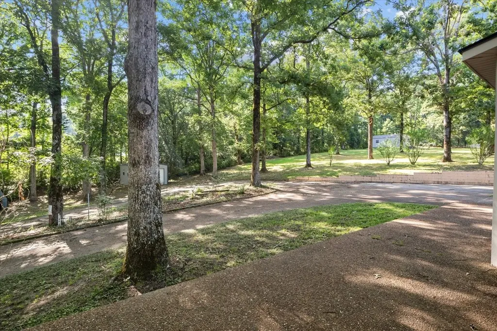 118 Dylark Drive Waverly TN 37185