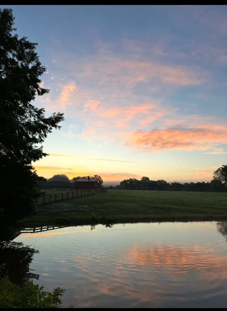 2981 Summertown Highway Summertown TN 38483