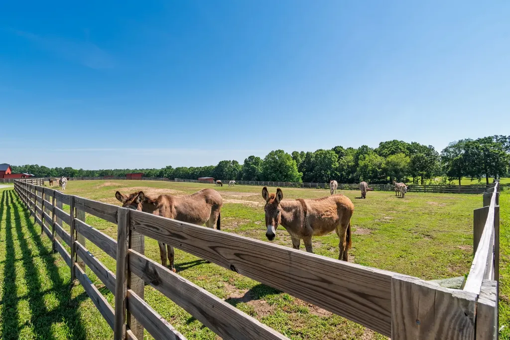 2981 Summertown Highway Summertown TN 38483