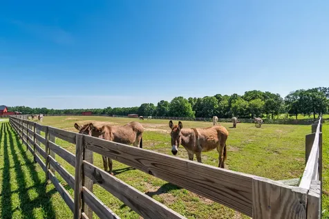 2981 Summertown Highway Summertown TN 38483