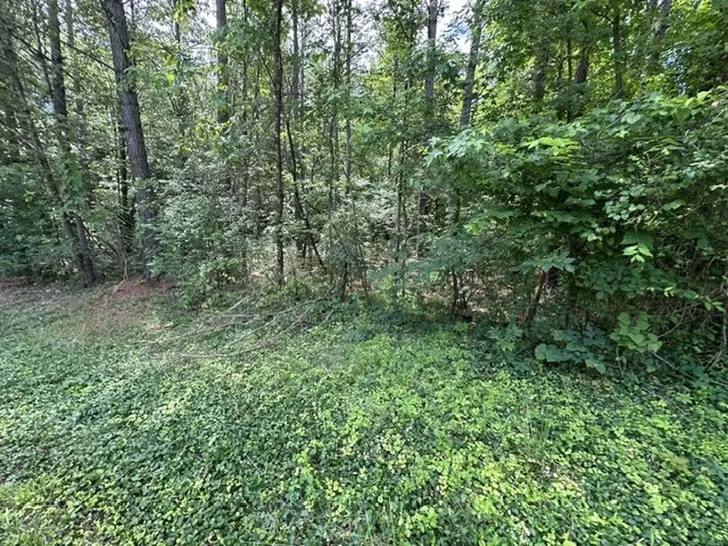 0 Stigall Street Camden TN 38320