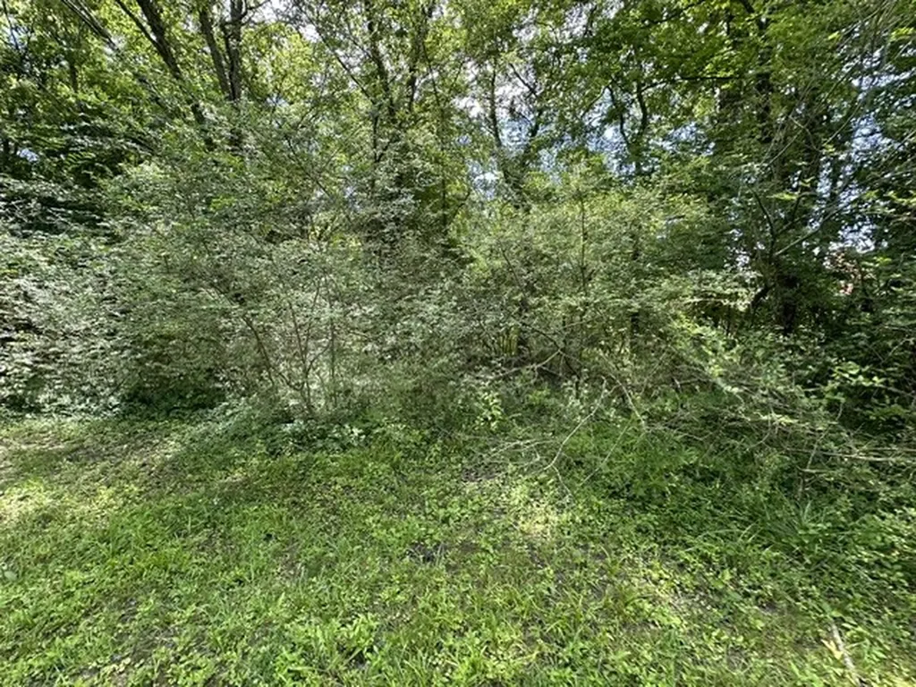 0 Stigall Street Camden TN 38320