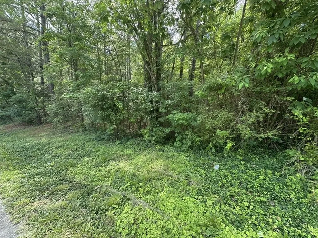 0 Stigall Street Camden TN 38320