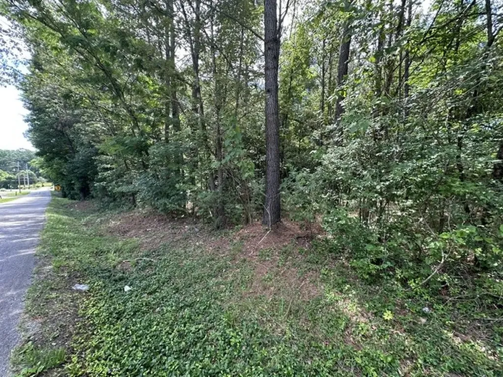 0 Stigall Street Camden TN 38320