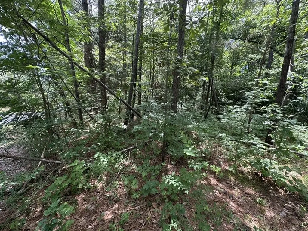 0 Stigall Street Camden TN 38320