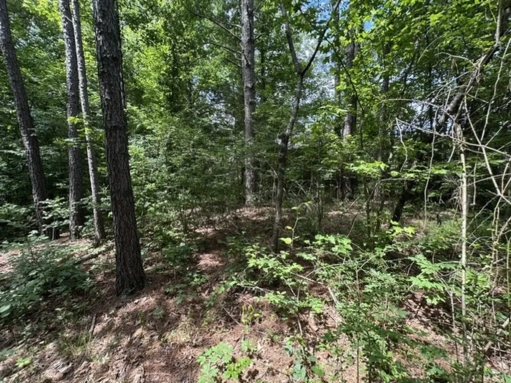 0 Stigall Street Camden TN 38320
