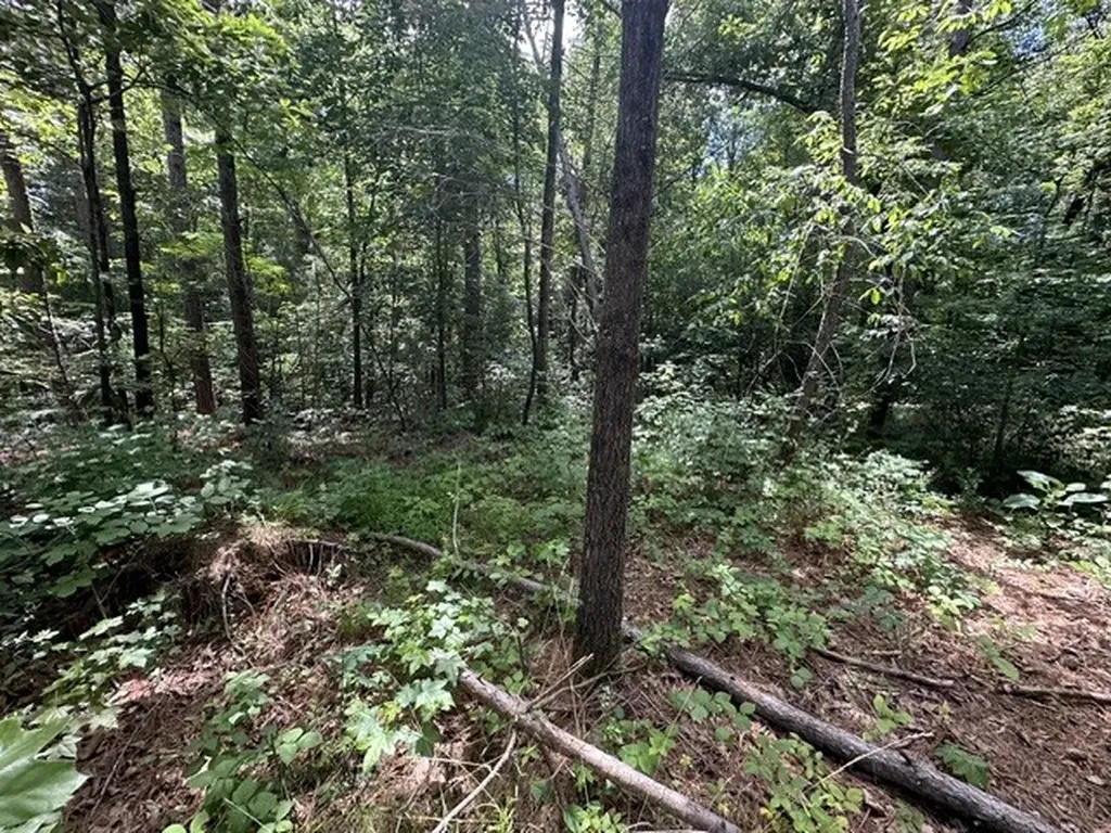 0 Stigall Street Camden TN 38320