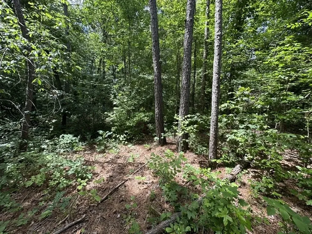 0 Stigall Street Camden TN 38320
