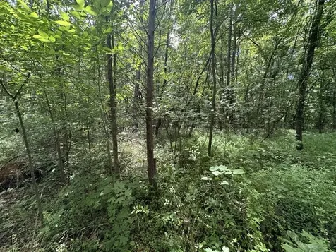 0 Stigall Street Camden TN 38320