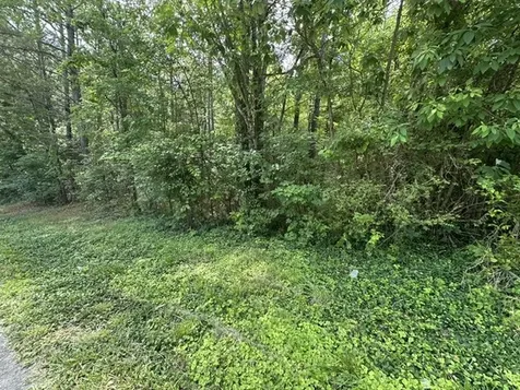 0 Stigall Street Camden TN 38320
