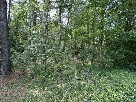 0 Stigall Street Camden TN 38320