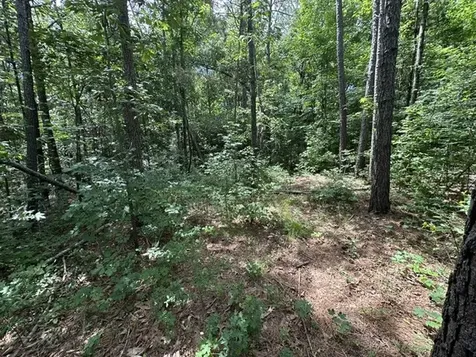 0 Stigall Street Camden TN 38320