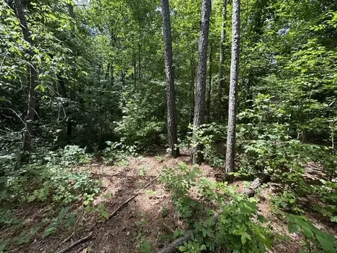 0 Stigall Street Camden TN 38320