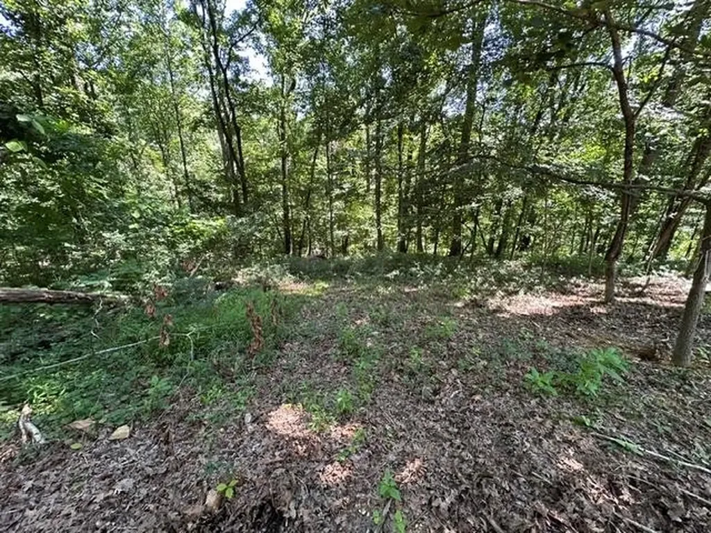 684 Eva Flatwoods Road Eva TN 38333