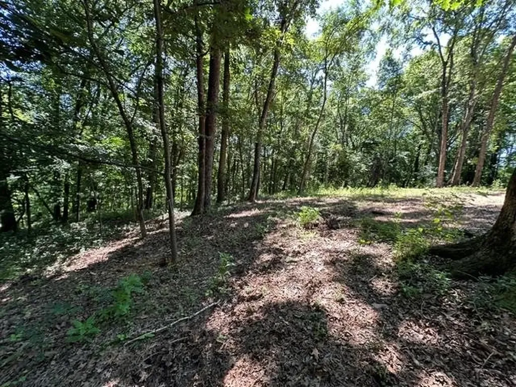 684 Eva Flatwoods Road Eva TN 38333
