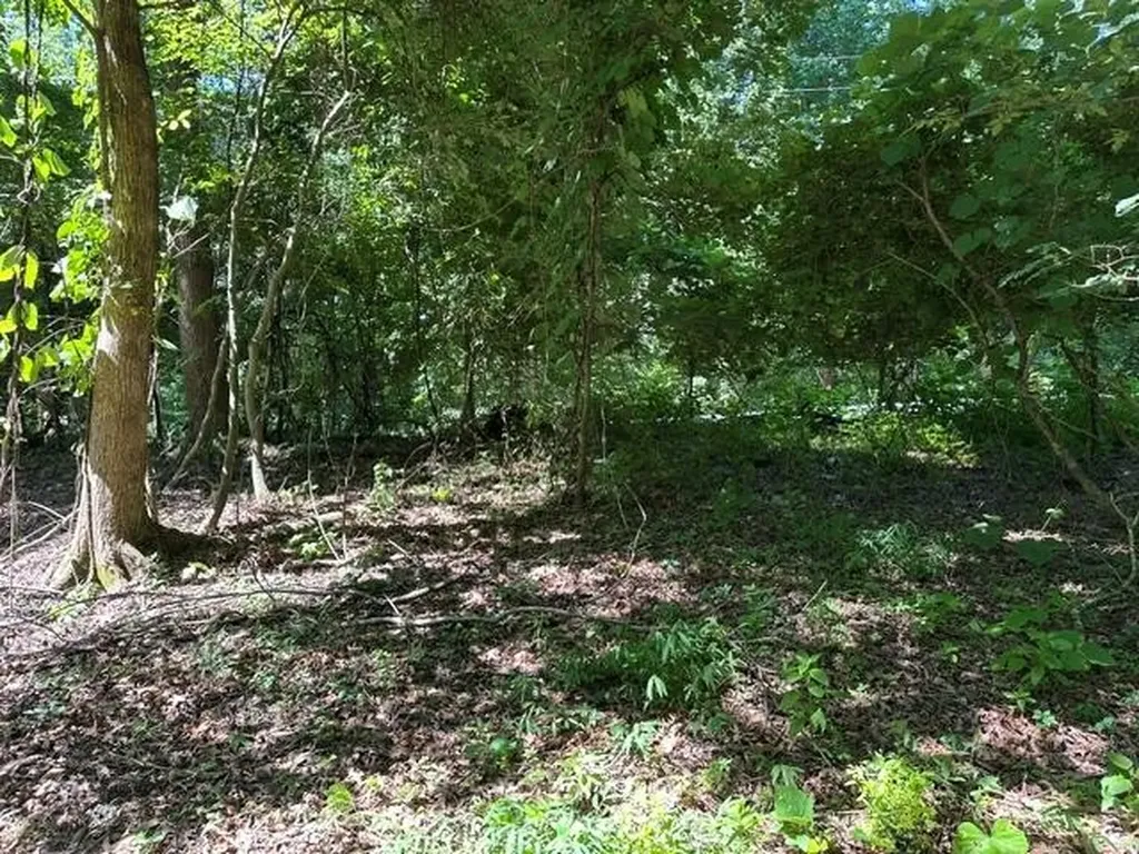 684 Eva Flatwoods Road Eva TN 38333