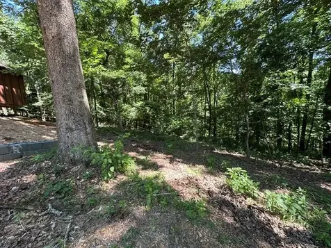 684 Eva Flatwoods Road Eva TN 38333