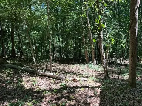 684 Eva Flatwoods Road Eva TN 38333