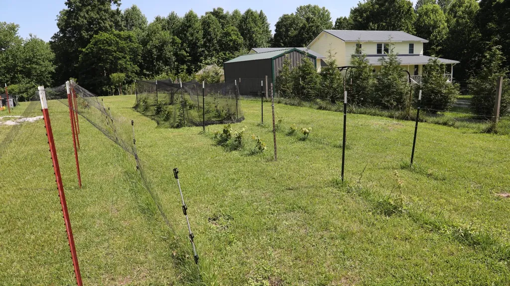 771 Long Mountain Road Mcminnville TN 37110