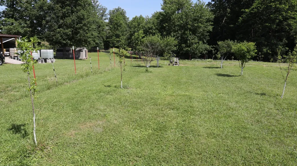 771 Long Mountain Road Mcminnville TN 37110