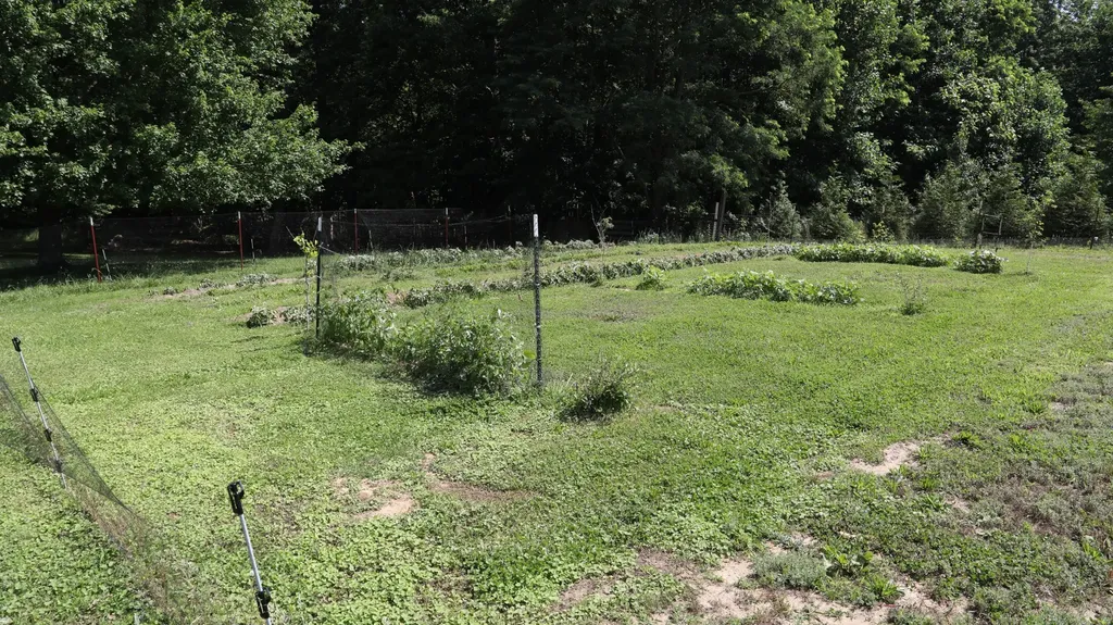 771 Long Mountain Road Mcminnville TN 37110