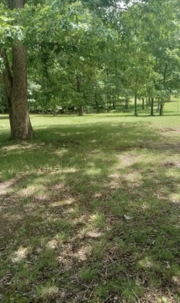771 Long Mountain Road Mcminnville TN 37110