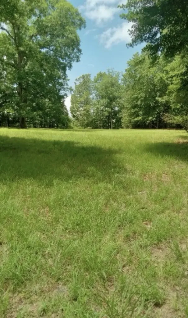 771 Long Mountain Road Mcminnville TN 37110