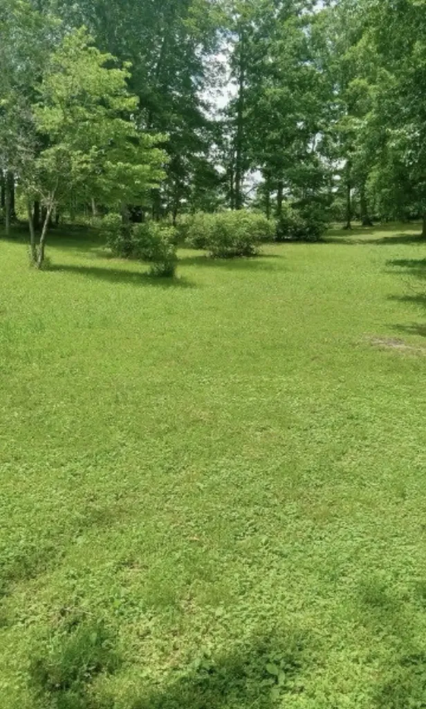 771 Long Mountain Road Mcminnville TN 37110