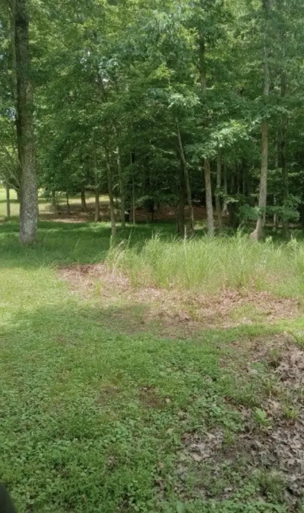 771 Long Mountain Road Mcminnville TN 37110