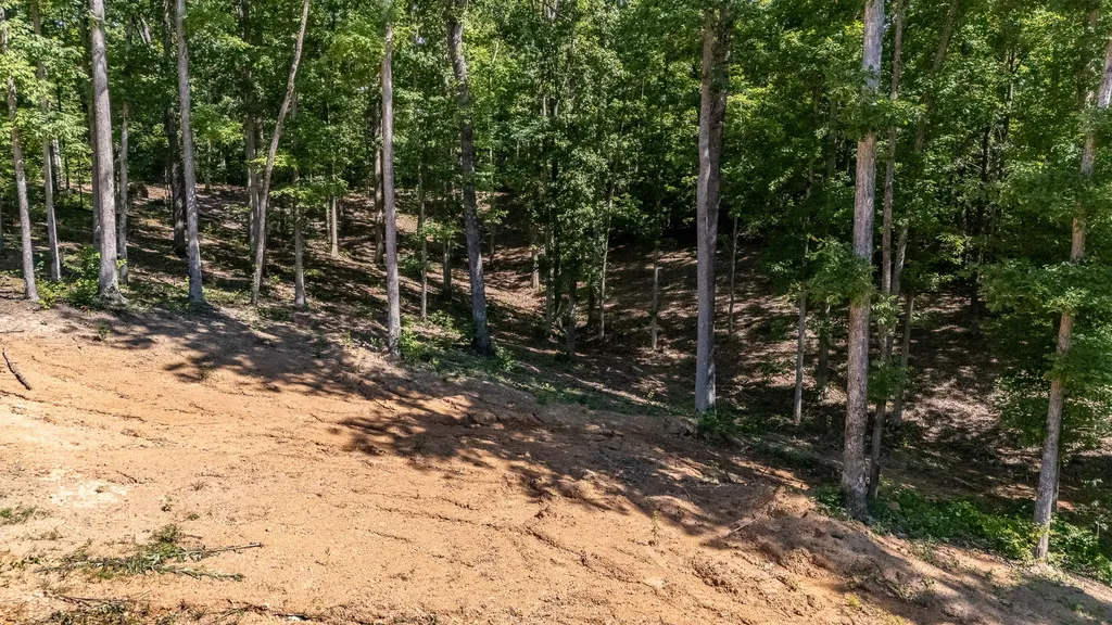 1239 Cherokee Road Waynesboro TN 38485