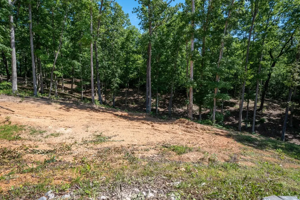 1239 Cherokee Road Waynesboro TN 38485