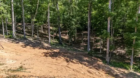1239 Cherokee Road Waynesboro TN 38485