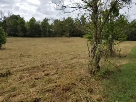 0 Harsh Lane Castalian Springs TN 37031