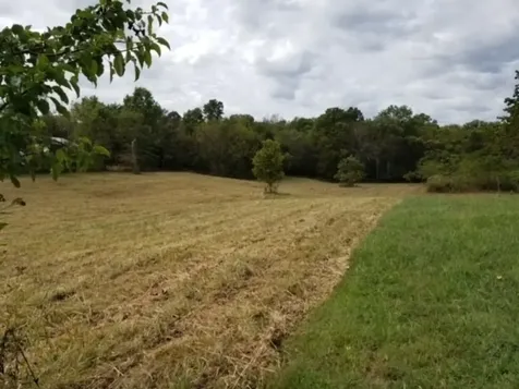 0 Harsh Lane Castalian Springs TN 37031