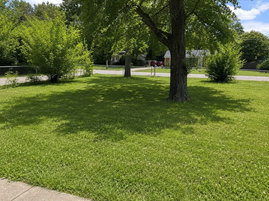 1403 Atlas Street Murfreesboro TN 37130